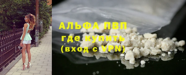 ECSTASY Белокуриха