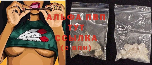 ECSTASY Белокуриха